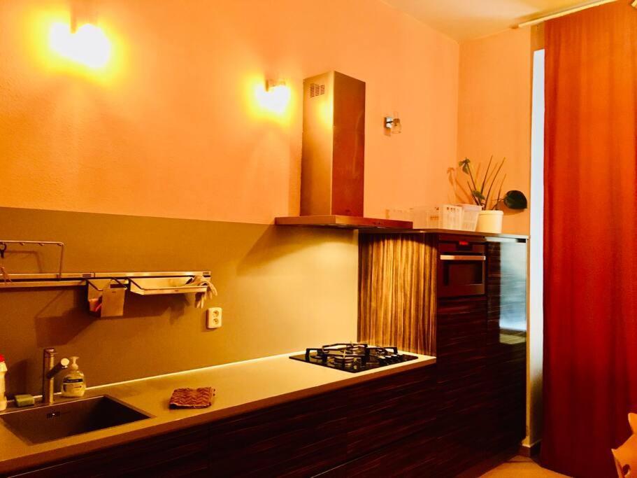 Hotel Apartment In Prague 2 Square Exterior foto